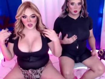 10incheskinkynastytrans webcam model stream image