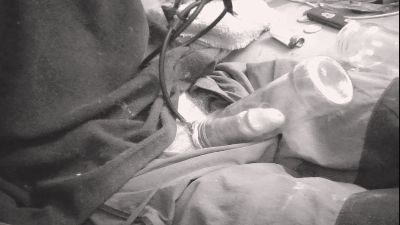 german0hot2 webcam cam4 model stream image