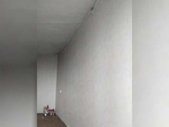 TPAX-B-KucKy webcam model stream image