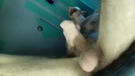 AlexandroRossi webcam model stream image