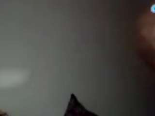 stalliontheesavage webcam model stream image