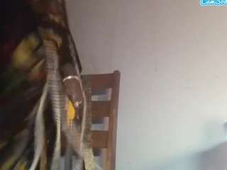 stalliontheesavage webcam camsoda model stream image