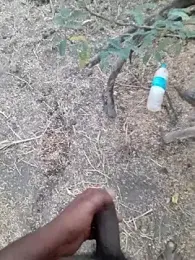 Ajith_mvi webcam stripchat model stream image