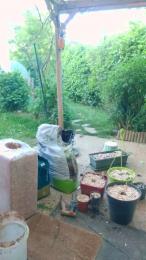 tomsauwer webcam model stream image