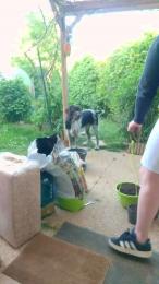 tomsauwer webcam model stream image