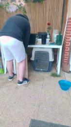 tomsauwer webcam model stream image