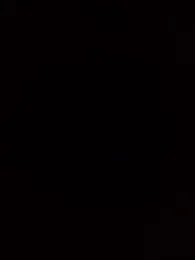 dolphiinn webcam stripchat model stream image