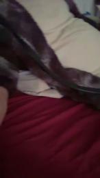 mrniceguy_hot webcam model stream image