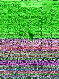 KailanDTD webcam model stream image