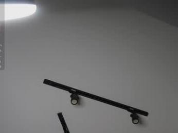 corni__ webcam model stream image