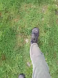 FreezingTie850 webcam stripchat model stream image