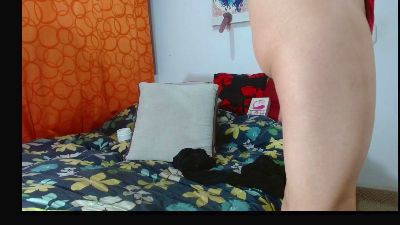 litacam30 webcam model stream image