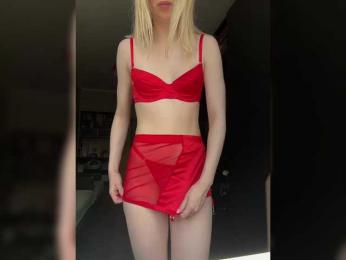 ari_ webcam model stream image