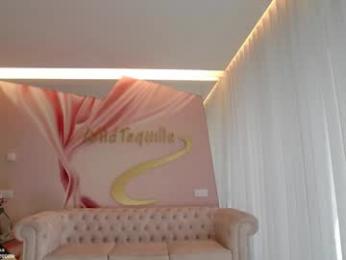 wildtequilla webcam chaturbate model stream image
