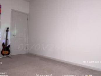 petitebrat webcam chaturbate model stream image