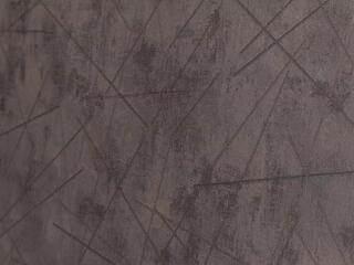 Sophia Salton webcam model stream image