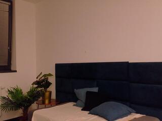 Indy Harrison webcam model stream image