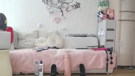 Prjskoviy webcam model stream image