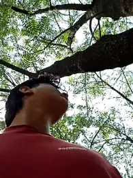 _Ottis_ webcam stripchat model stream image