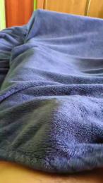 polli_play webcam model stream image