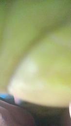 Tonypole83 webcam cam4 model stream image