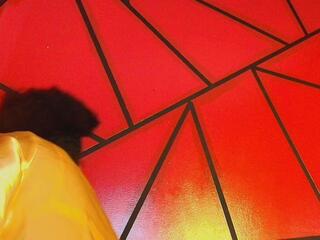 Sharlot Ruiz webcam model stream image