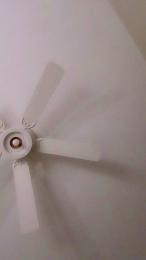 EllisD webcam model stream image