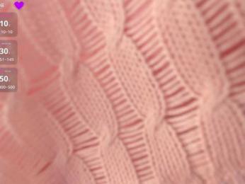 NETSENZURA webcam model stream image