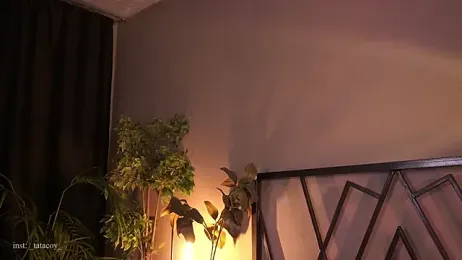 TataCoy webcam stripchat model stream image