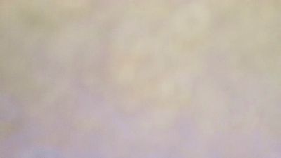 saraa88 webcam model stream image