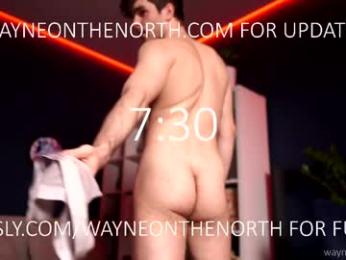 waynenorth webcam chaturbate model stream image