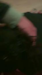 morenita084 webcam model stream image