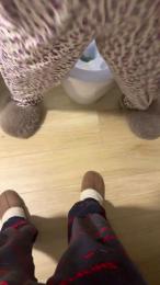 morenita084 webcam model stream image