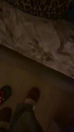 morenita084 webcam model stream image