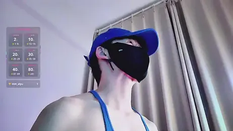 FEIYUS1 webcam model stream image