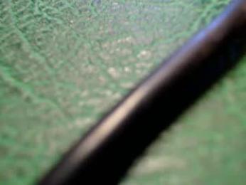 shyredstar webcam model stream image