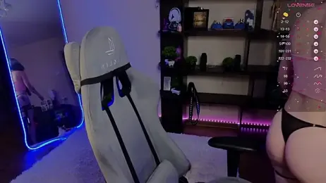 zelda_1 webcam model stream image