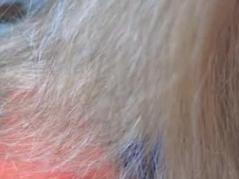 lunary_mix webcam model stream image