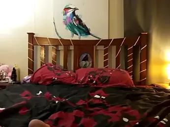 ashlee_james webcam stripchat model stream image