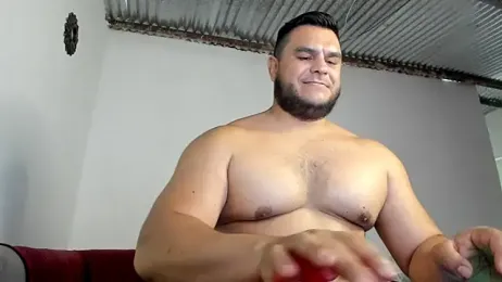 ApholoVV webcam model stream image