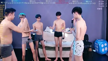 Spirit-0001 webcam model stream image