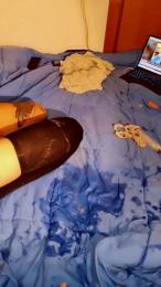 rdmas904 webcam cam4 model stream image