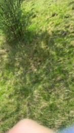Zeigegeiler69 webcam cam4 model stream image