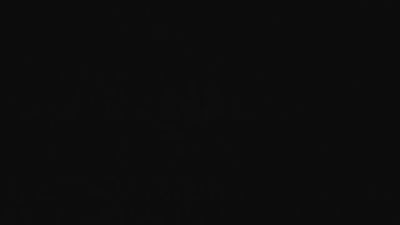 Renezelwegher24 webcam model stream image
