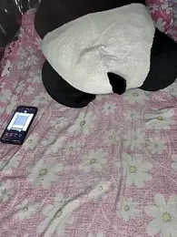 Decent_girl01 webcam stripchat model stream image