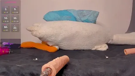 NeilRogers webcam model stream image