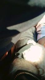 Penele webcam model stream image