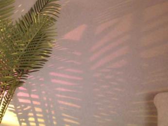 Maribett bongacams stream image