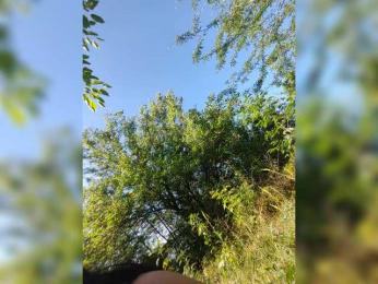 Cleopatra1990 bongacams stream image, 27.06.2025 10:50