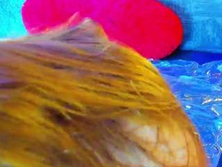 likardashianx camsoda stream image, 28.11.2025 09:20